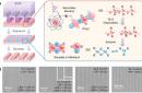 重大消息：清华大学开发出理想的极紫外（EUV）光刻胶材料