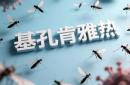 疯狂全国：基孔肯雅热病毒有什么症状和去预防方法？？？