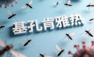 疯狂全国：基孔肯雅热病毒有什么症状和去预防方法？？？