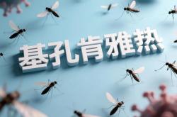 疯狂全国：基孔肯雅热病毒有什么症状和去预防方法？？？