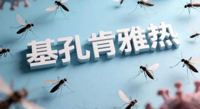 疯狂全国：基孔肯雅热病毒有什么症状和去预防方法？？？
