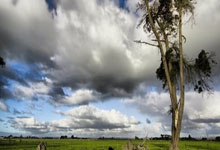 苹果发布 2024 款 iPad mini 7 平板电脑：128GB 版本 3999 元，512GB 版本 6499 元