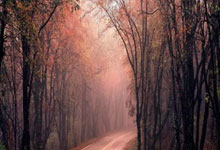 社保卡到 2027 年基本实现全国“一卡通”