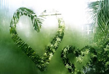 社保卡到 2027 年基本实现全国“一卡通”